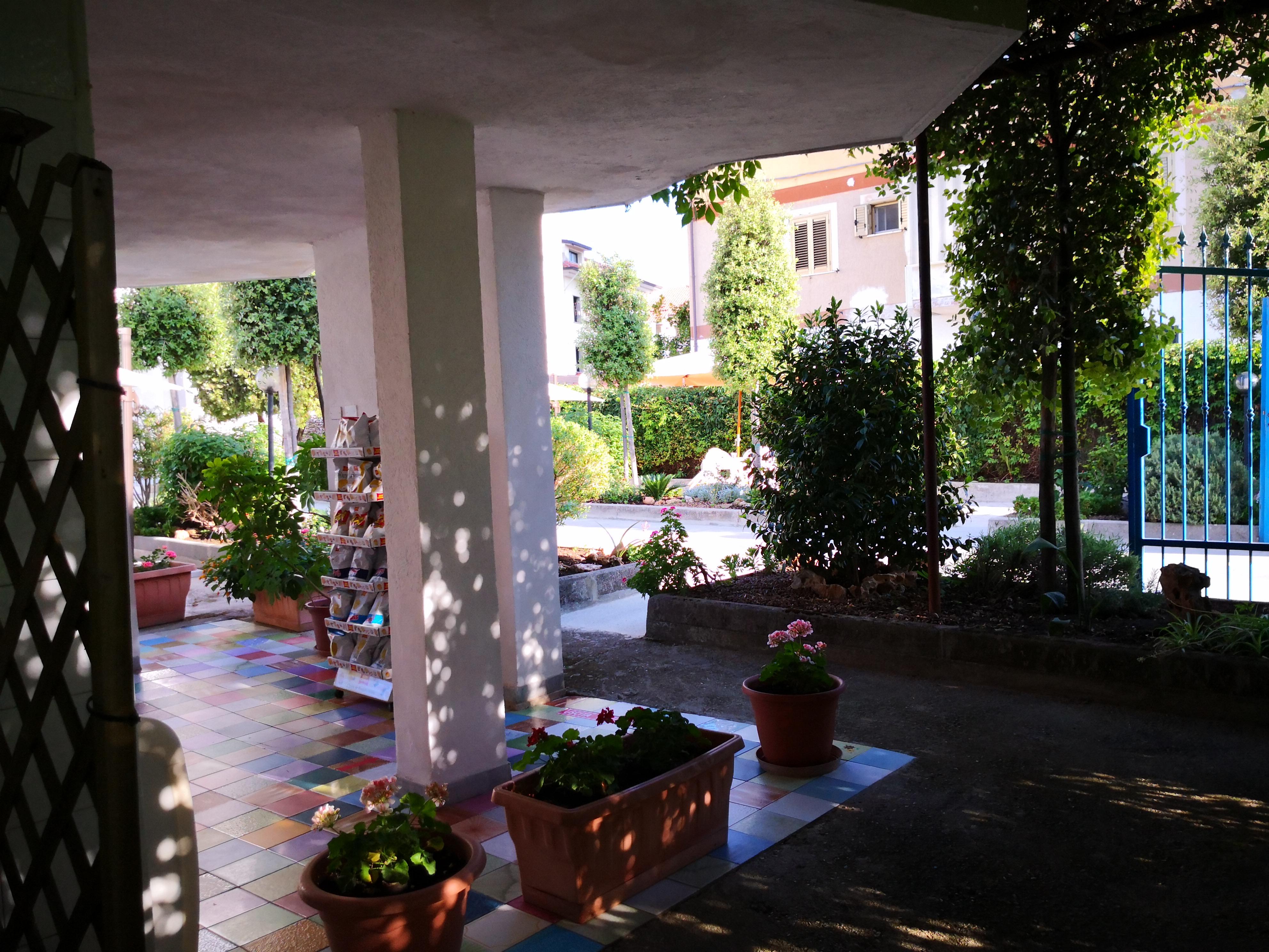 אשאה Hotel Venere מראה חיצוני תמונה
